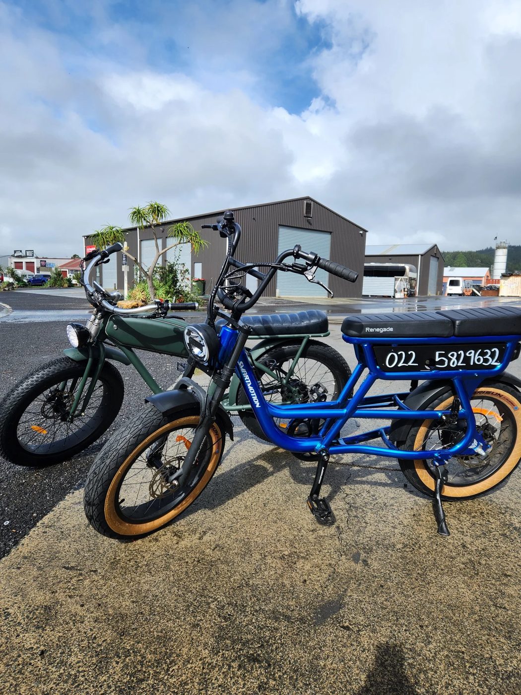 Renegade E Bike