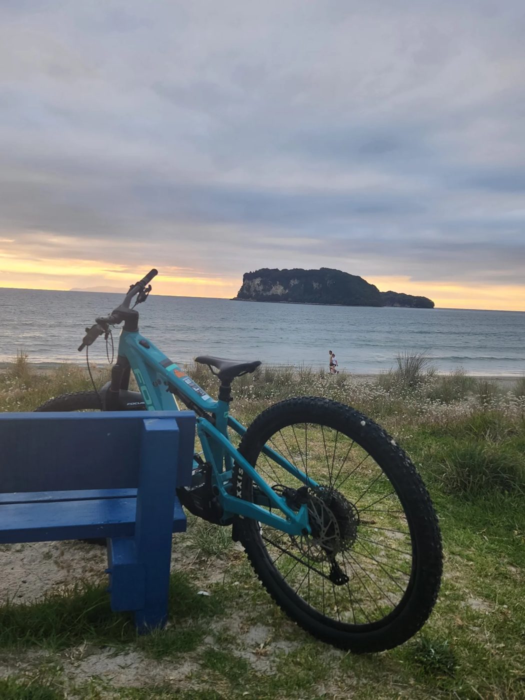 Hardtail